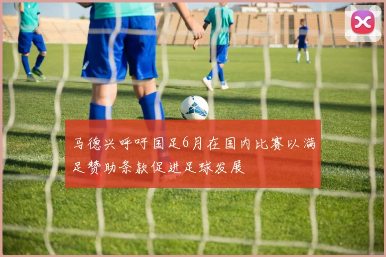 马德兴呼吁国足6月在国内比赛以满足赞助条款促进足球发展