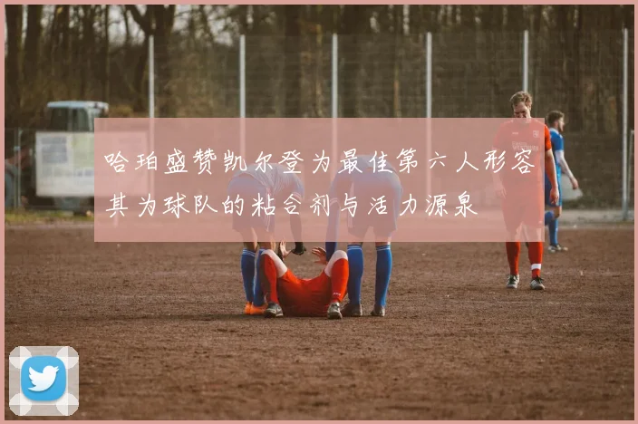 哈珀盛赞凯尔登为最佳第六人形容其为球队的粘合剂与活力源泉